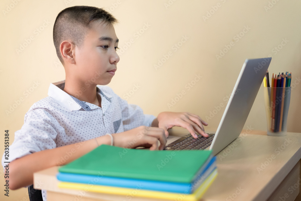 A young schoolboy Concentrated at a laptop computer.Use it for a school, study or learning concept. A young schoolboy Concentrated at a laptop computer.Use it for a school, study or learning concept.