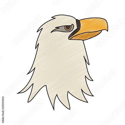 Eagle head cartoon vector illustration graphic design