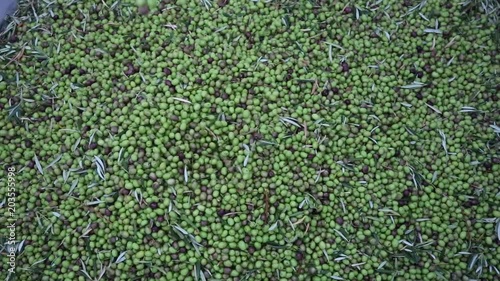 Montaña de Aceitunas Españolas