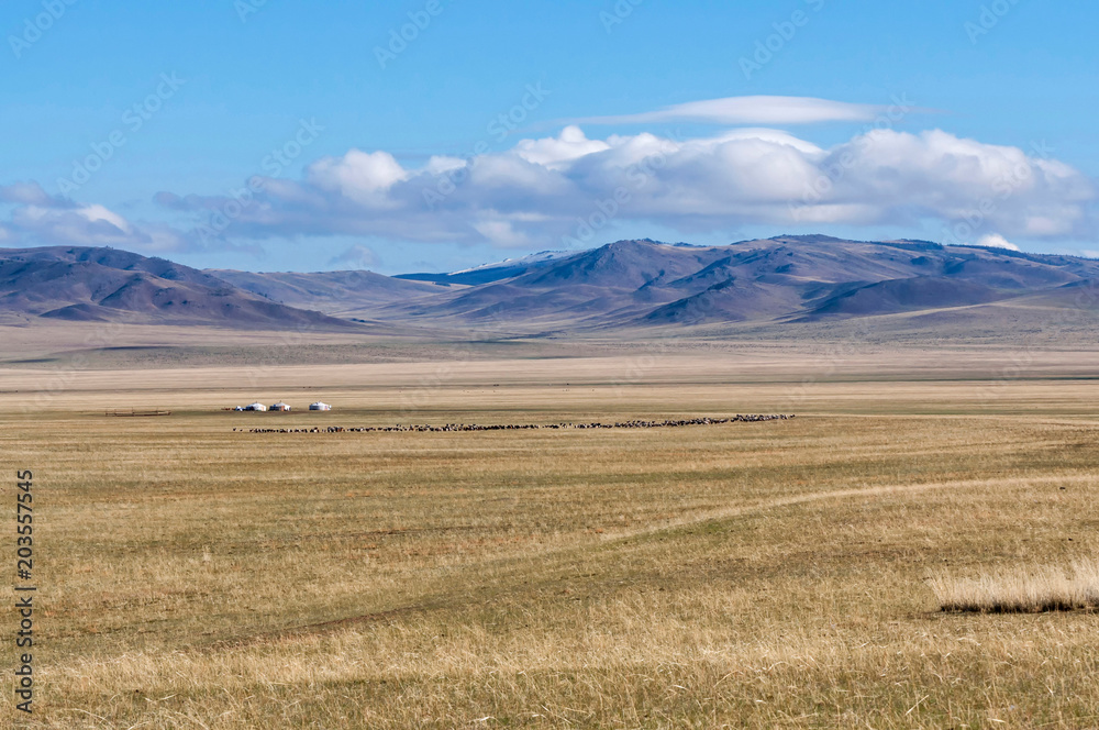 Obraz premium Yurts and sheep in the valley in front of the mountains.