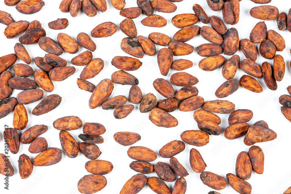 Cocoa beans on white background