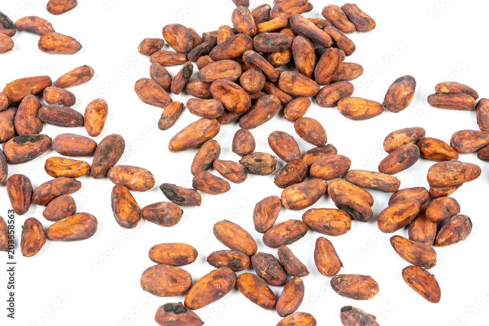 Obraz premium Cocoa beans on white background