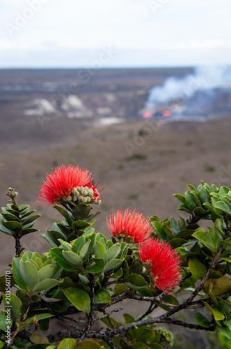 レフアとキラウエア火山の噴火口
