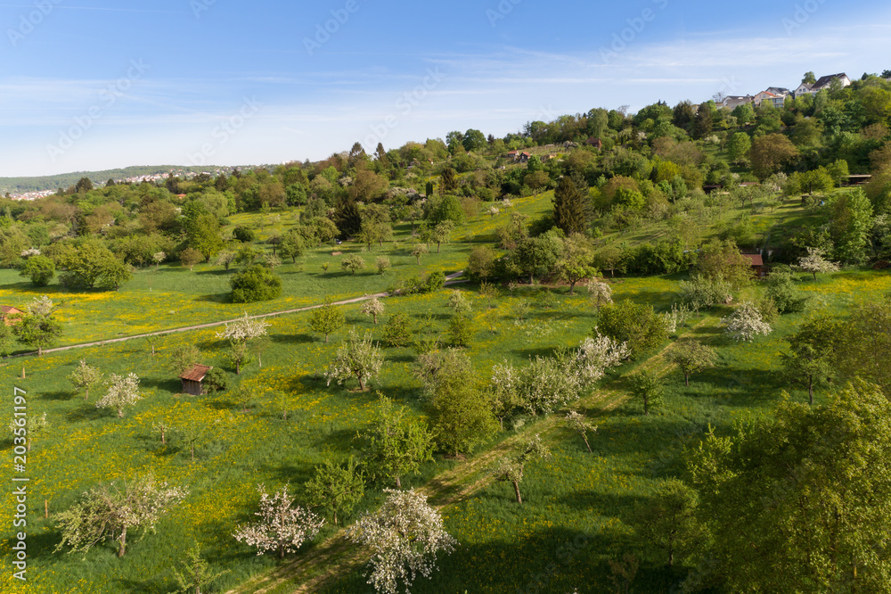 Luftaufnahme blühende Streuobstwiesen im Frühling