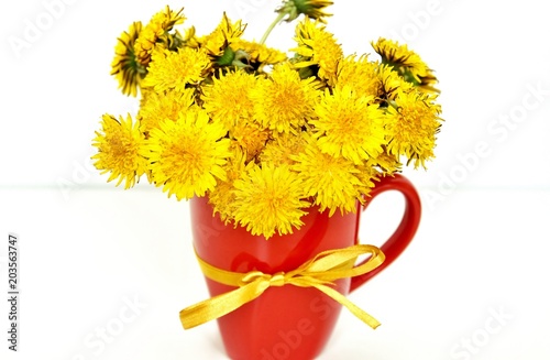 Fototapeta Naklejka Na Ścianę i Meble -  gentle dandelions