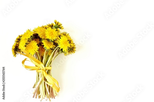 Fototapeta Naklejka Na Ścianę i Meble -  gentle dandelions