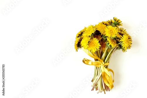 Fototapeta Naklejka Na Ścianę i Meble -  gentle dandelions