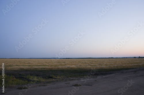 Sundown and sunrises. bright night. dark blue sky with tints of orange, red, yellow and much clouds. Silhouettes of forests far away on the background of heaven