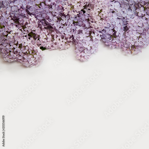 Beautiful lilac flowers close-up.
