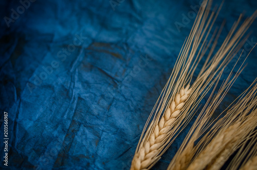 Background for Shavuot celebration