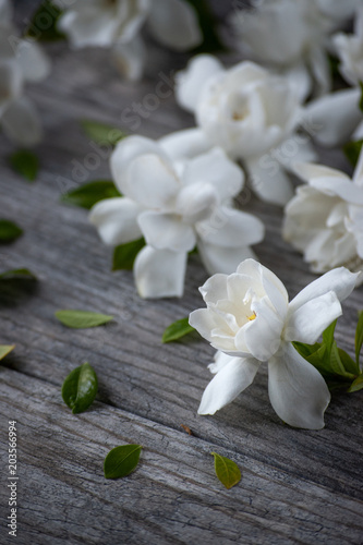 gardenia blossoms on old gray wood