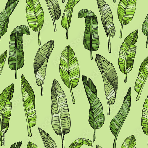 Abstract seamless leaves pattern with tropical leaves