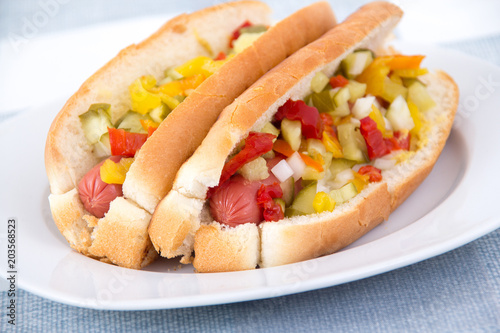 alldress delicious hotdog on a plate