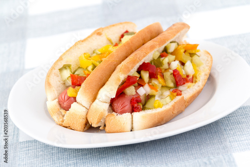 alldress delicious hotdog on a plate photo