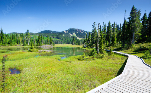 Foto Alpine Trail and Meadow, Strathcona Provincial Park, Vancouver Island, British c