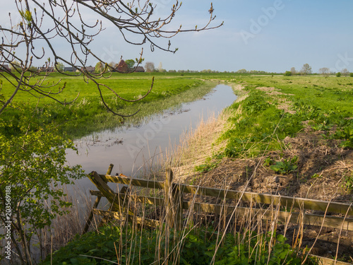 Water meadow  of the River Elbe  Hetlingen  Haseldorfer Marsch  Schleswig Holstein  Germany