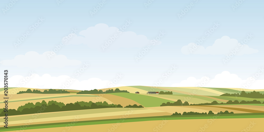 Green hill countryside landscape. Vector illustration of panorama field landscape and cloud sky.