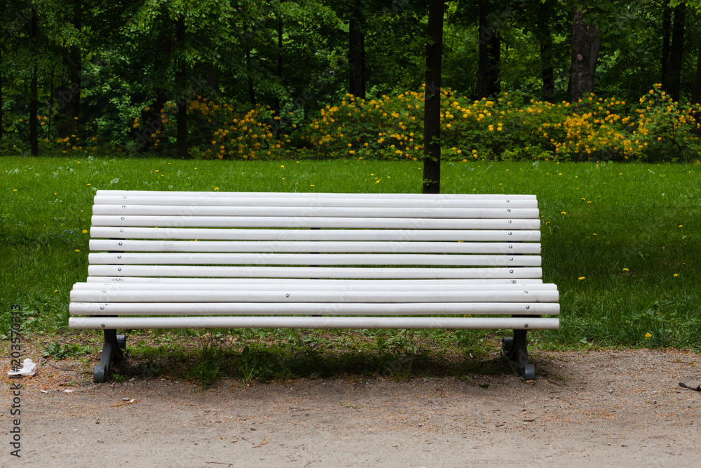 White bench in the park
