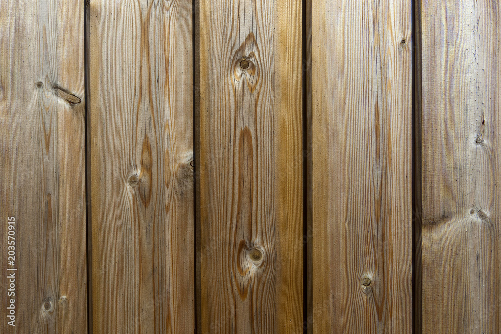 Fototapeta premium timber background