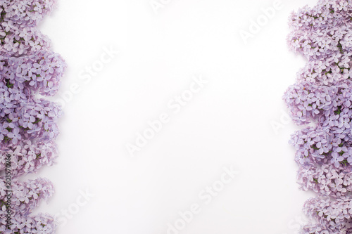 Beautiful lilac flowers on both sides of the screen. From close range. Isolated on white background. Perfect for the background.