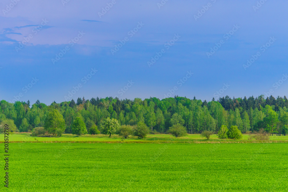 Spring landscape in the countryside Spring landscape in the countryside
