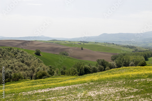 Italian landscape with green fields in spring, holidays in Italy in Umbria and Tuscany. Travel drive in the Tuscany countryside with soft green hills and blue skies. Calm and relax holidays in Italy © PAOLO