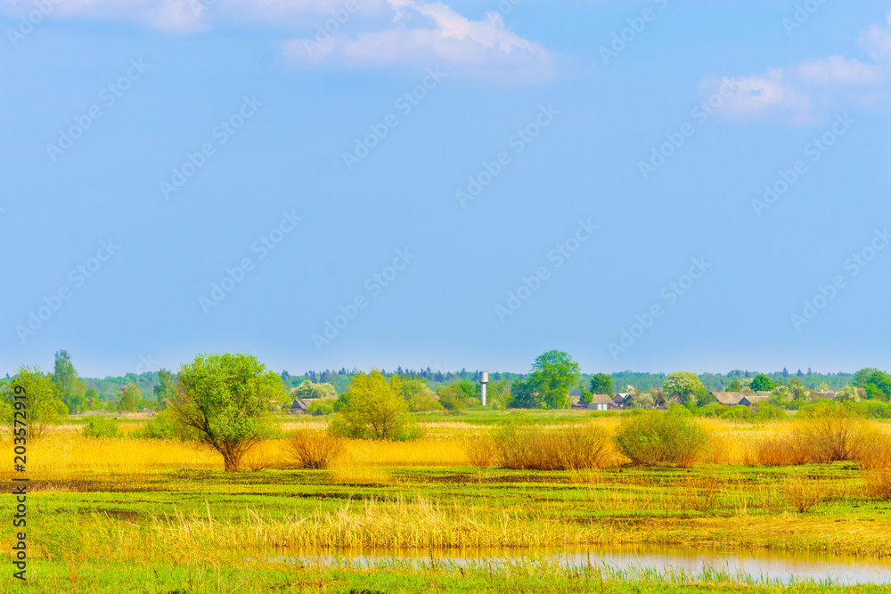 Spring landscape in the countryside