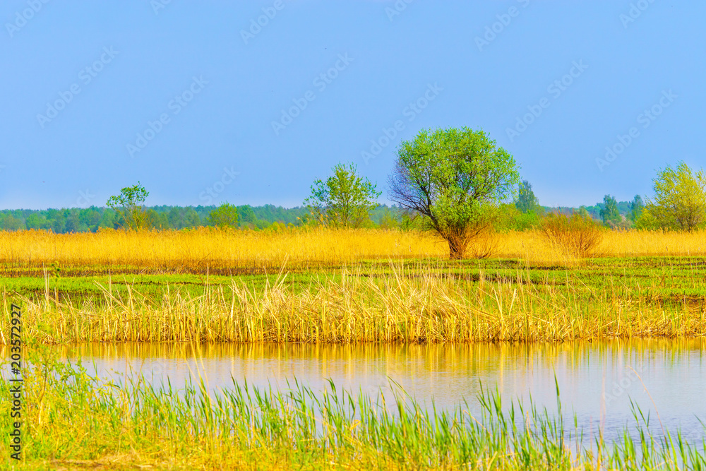 Naklejka premium Spring landscape in the countryside