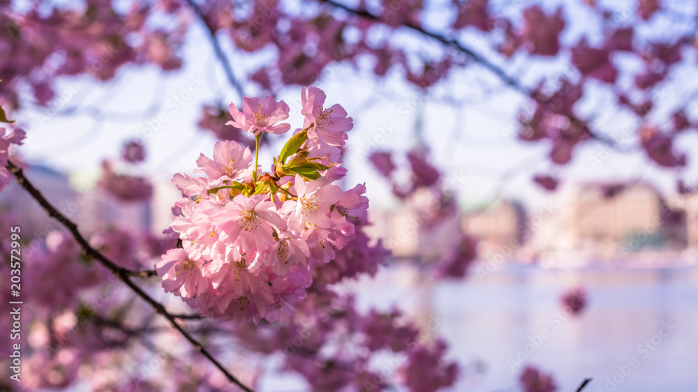 Obraz premium Hamburg - Germany