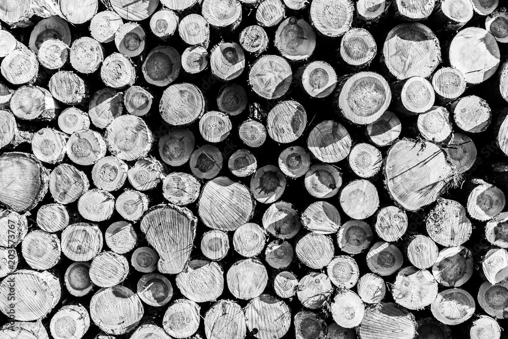 Wooden Wall Wooden Wall
