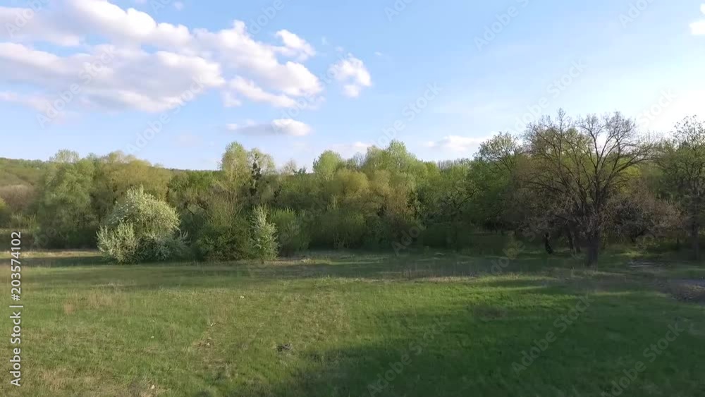 FLIGHTING ON THE FLOWER AND THE FLOWERING TREES. FLOWERING AND EARLY SPRING IN RURAL LOCATION. FLIGHTING ON THE FLOWER AND THE FLOWERING TREES. FLOWERING AND EARLY SPRING IN RURAL LOCATION.
