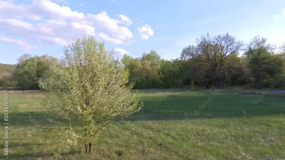 FLIGHTING ON THE FLOWER AND THE FLOWERING TREES. FLOWERING AND EARLY SPRING IN RURAL LOCATION. FLIGHTING ON THE FLOWER AND THE FLOWERING TREES. FLOWERING AND EARLY SPRING IN RURAL LOCATION.