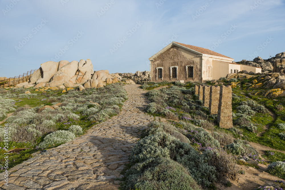 rocks and sea in palua on sardinia island