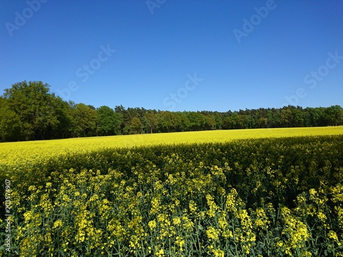 Natur Wendlandliebe photo