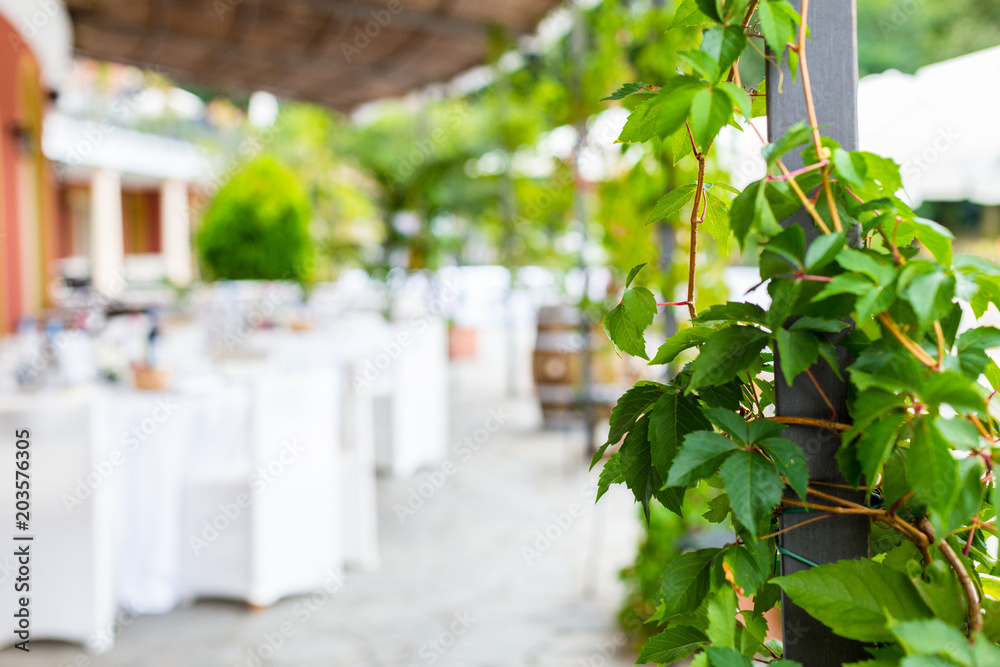 tables decorated for wedding reception