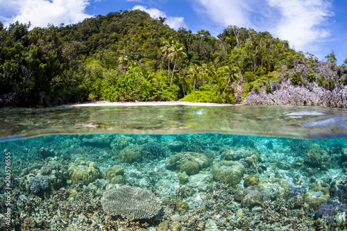 Shallow Reef and Beach in Raja Ampat