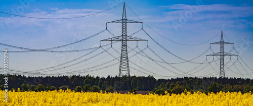 Hochspannungsleitung über Rapsfeld