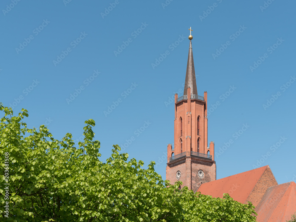 Fototapeta premium Turmspitze der St. Marien-Andreas Kirche hinter grüner Baumkrone