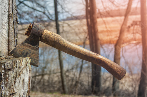 Dirty hatchet in tree photo