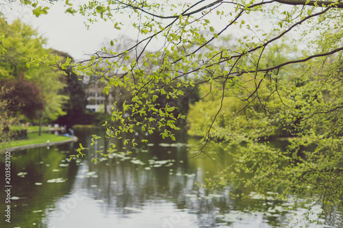 detail of city park with early spring vegetation