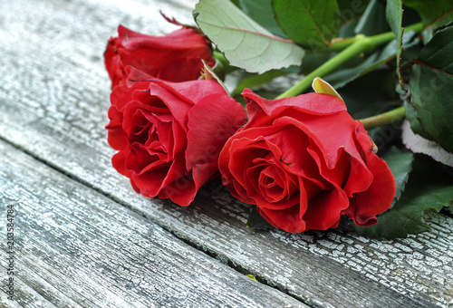 Red roses on a wooden background