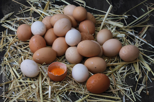 Saman üzerinde tavuk yumurtaları  photo