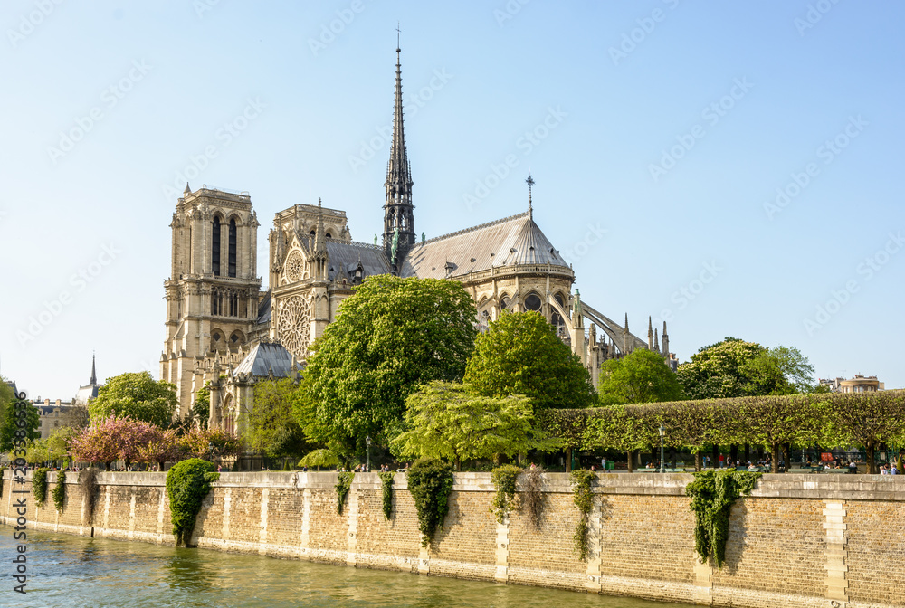 Springtime view of Notre-Dame de Paris cathedral under a blue sky with the river Seine in the foreground and the trees of the John XXIII park.