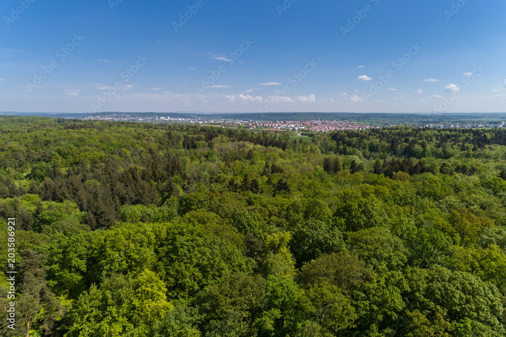 Luftbild Wald und Felder im Frühling