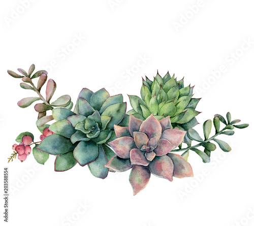 Watercolor succulent bouquet with berries. Hand painted green and violet flowers, branch and red berries isolated on white background. Floral illustration for design, fabric, print or background. photo