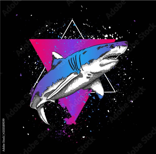 shark in a triangle. abstract drawing. vector illustration.