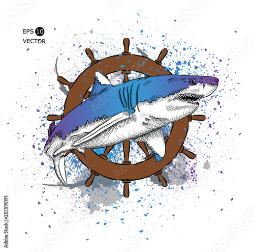 
shark on the background of the helm. vector illustration