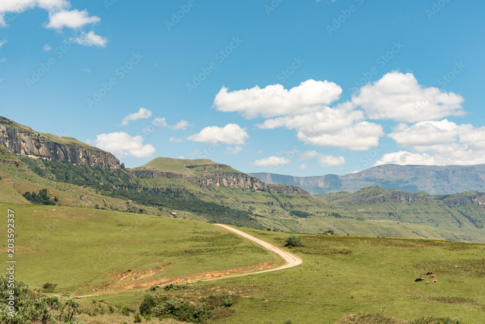 Road to Injisuthi in Giants Castle section, Maloti Drakensberg Park Road to Injisuthi in Giants Castle section, Maloti Drakensberg Park