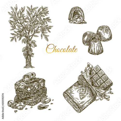 Set of chocolate. Cocoa tree, bonbons, stack and packing chocolate bar. Engraving style. Vector illustration.