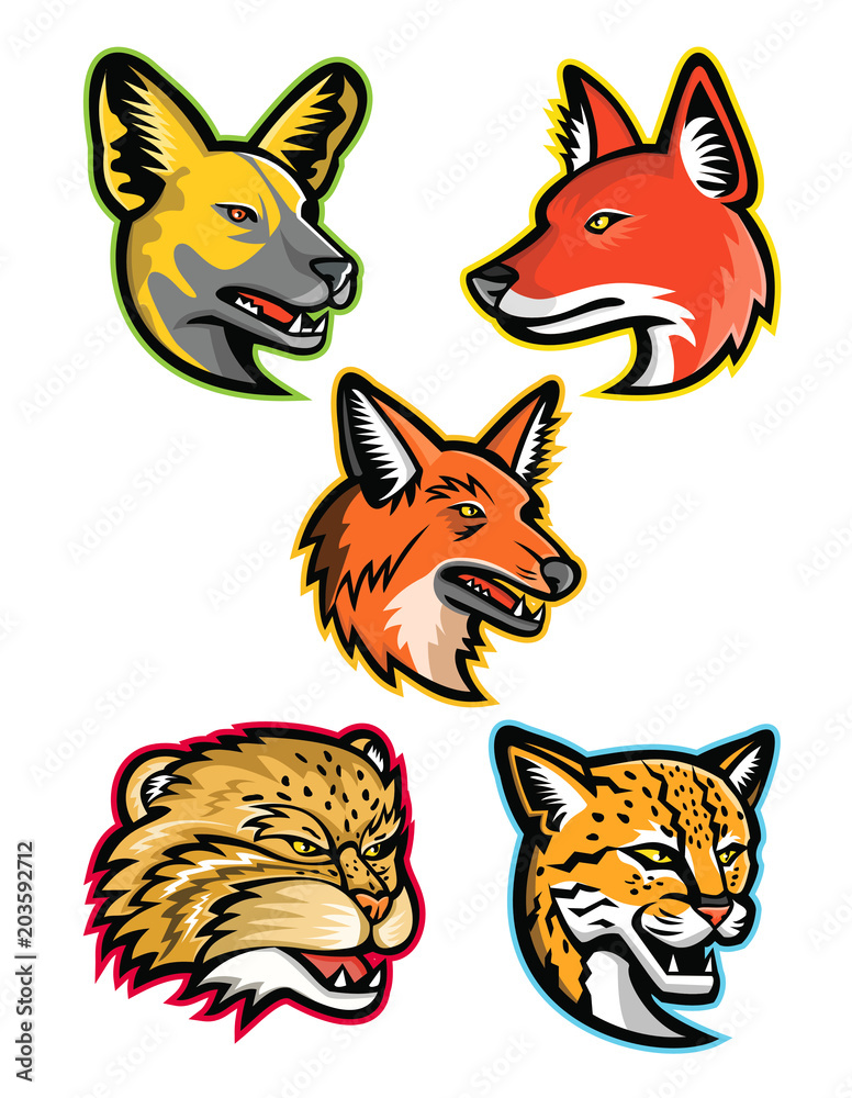Sports mascot icon set of heads of wild dogs and cats like the African wild dog or painted hunting dog, dhole or Asiatic wild dog, maned wolf, manul or Pallas cat and margay wild cat on isolated backg